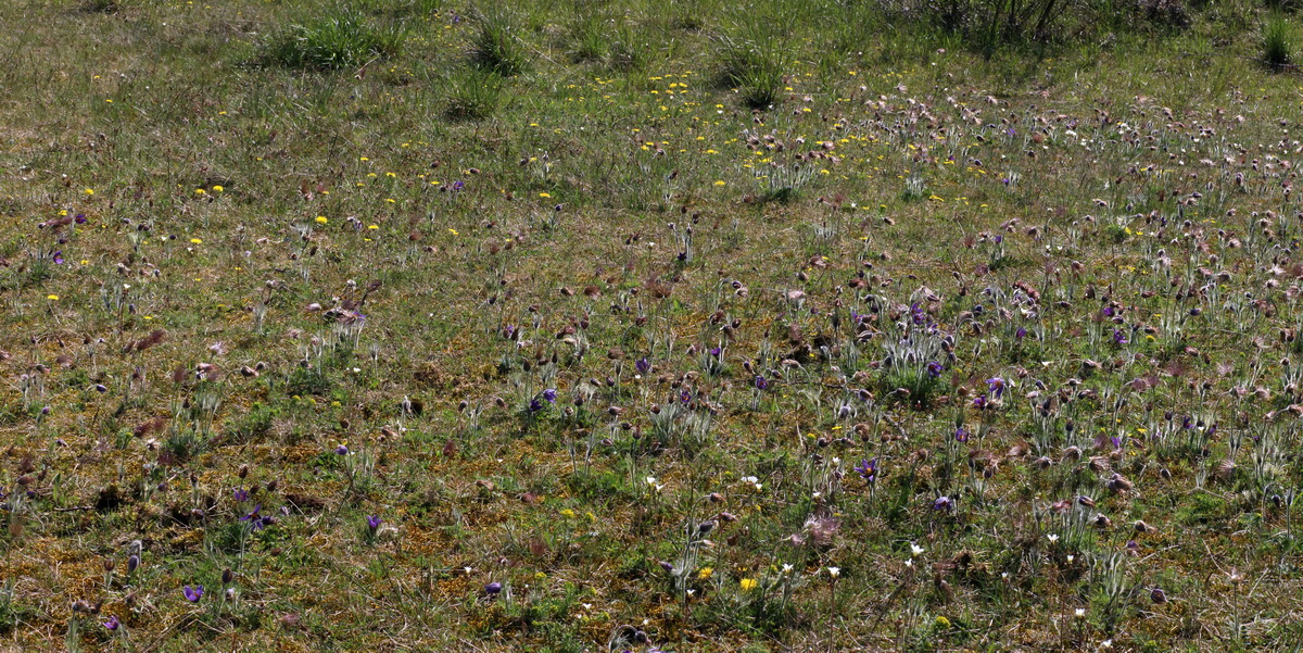 [Group 2]-IMG-2016-04-21-00012637_IMG-2016-04-21-00012640-4 images_Bildgr��e �ndern