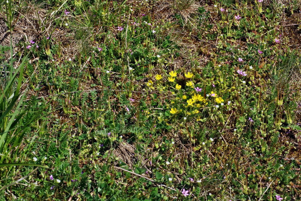 IMG-2016-04-21-00012621p_Bildgr��e �ndern