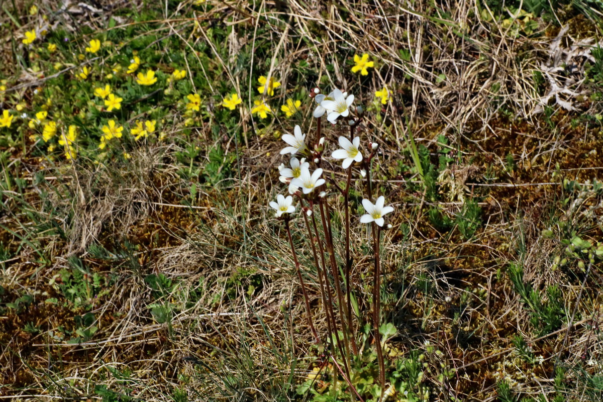 IMG-2016-04-21-00012622p_Bildgr��e �ndern