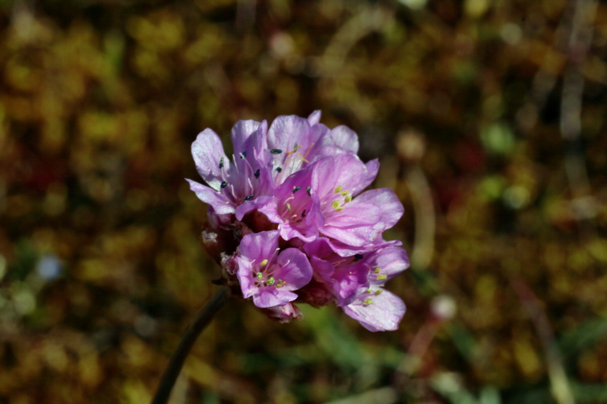 IMG-2016-04-21-00012627p_Bildgr��e �ndern