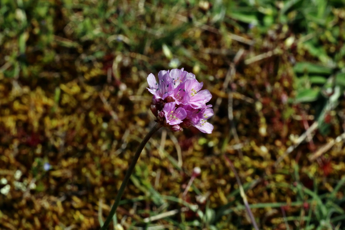 IMG-2016-04-21-00012629p_Bildgr��e �ndern