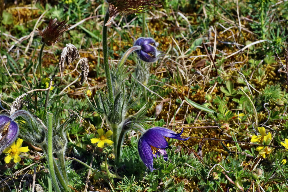 IMG-2016-04-21-00012633p_Bildgr��e �ndern