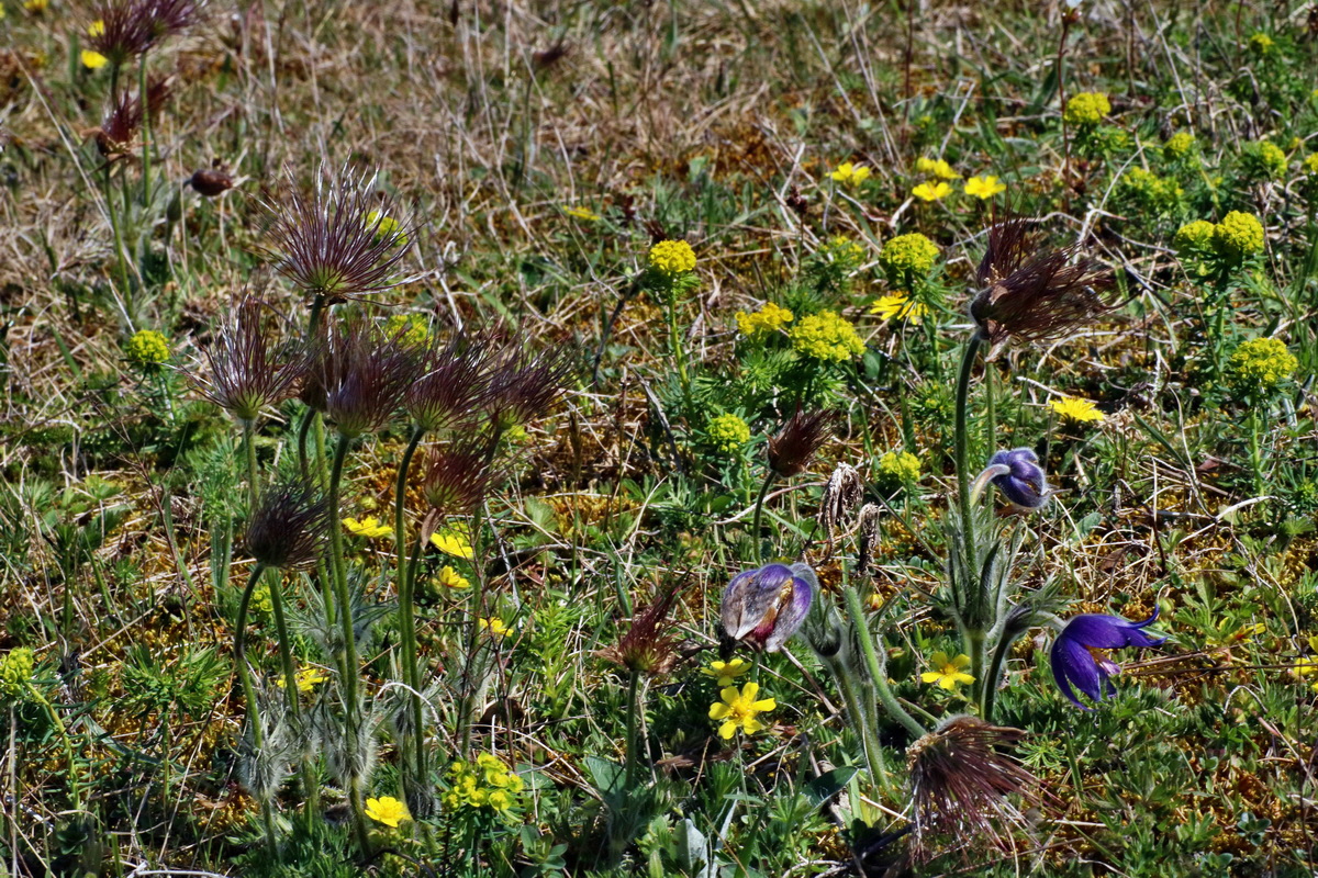 IMG-2016-04-21-00012635p_Bildgr��e �ndern