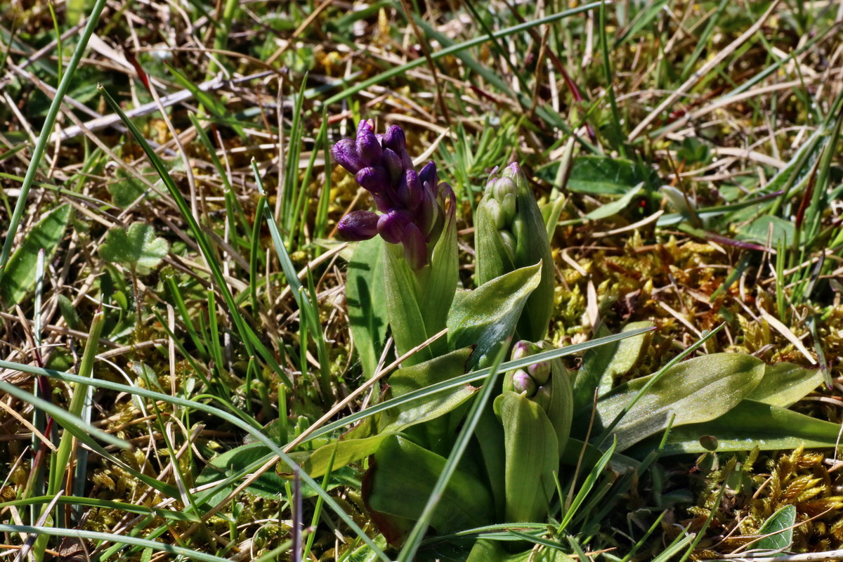 IMG-2016-04-21-00012642p_Bildgr��e �ndern