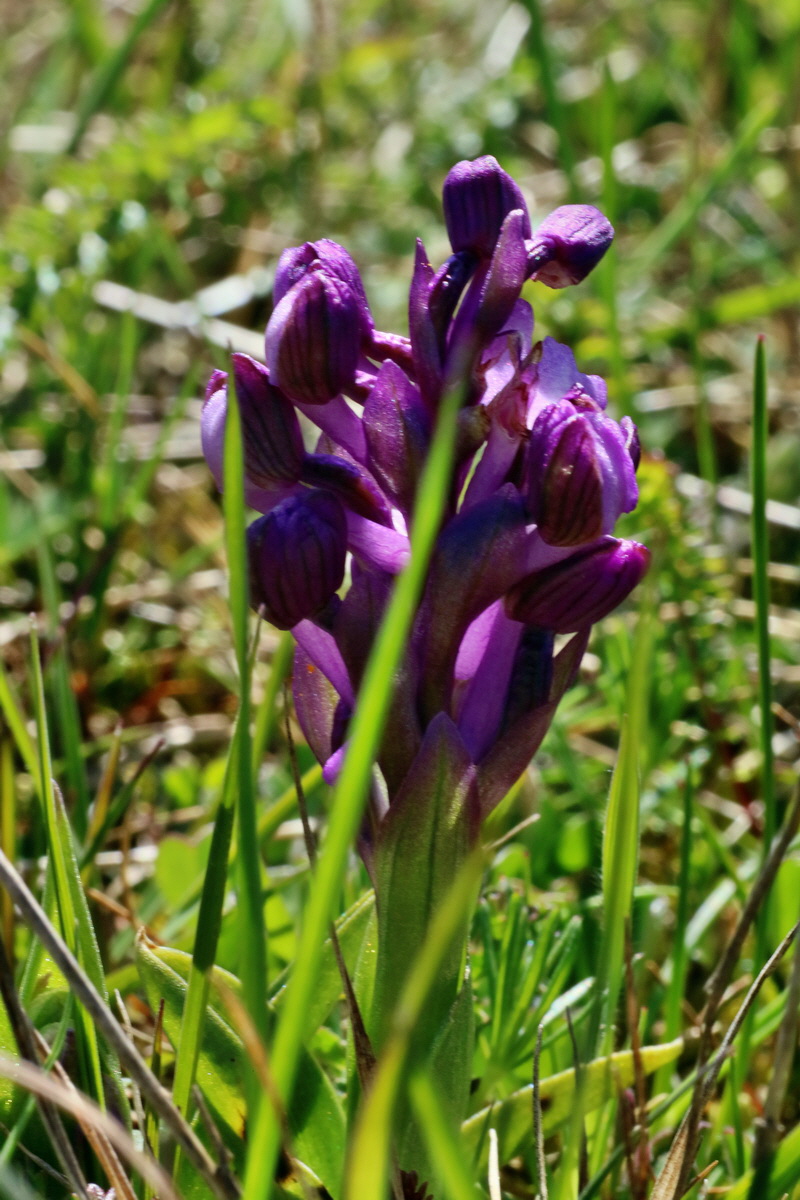 IMG-2016-04-21-00012660p_Bildgr��e �ndern