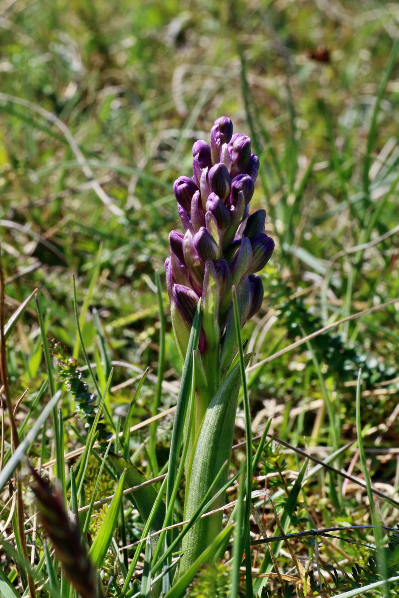 IMG-2016-04-21-00012664p_Bildgr��e �ndern