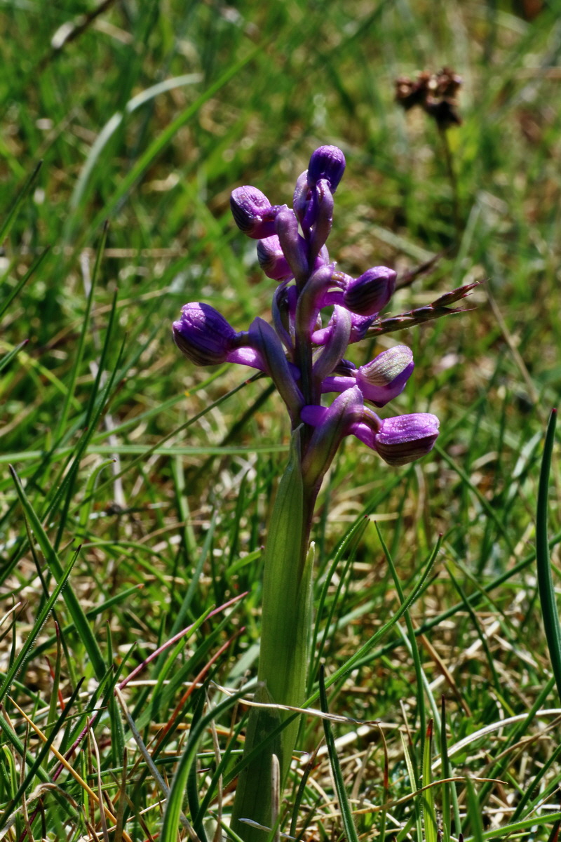 IMG-2016-04-21-00012675p_Bildgr��e �ndern