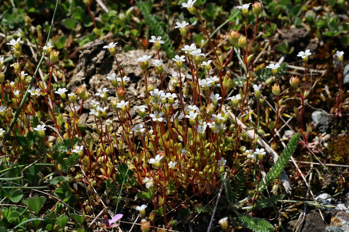 IMG-2016-04-21-00012679p_Bildgr��e �ndern