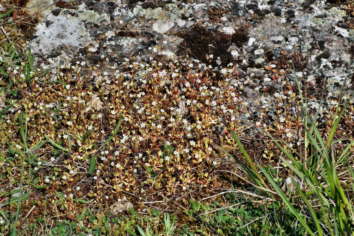 IMG-2016-04-21-00012683p_Bildgr��e �ndern