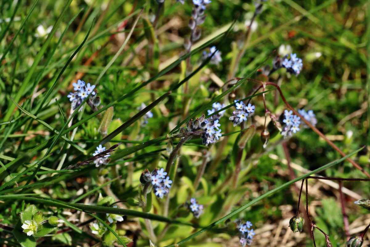 IMG-2016-04-21-00012690p_Bildgr��e �ndern