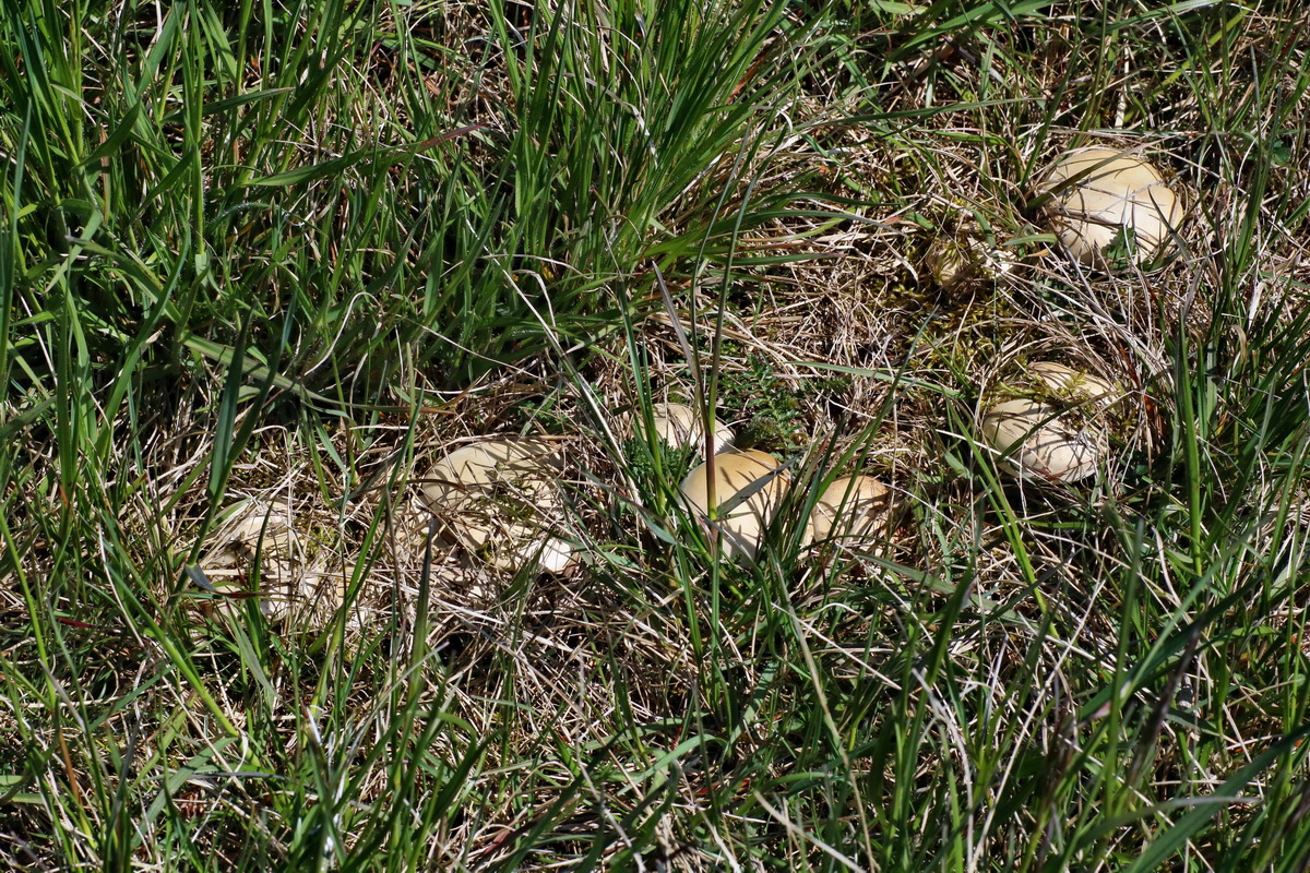 IMG-2016-04-21-00012694p_Bildgr��e �ndern