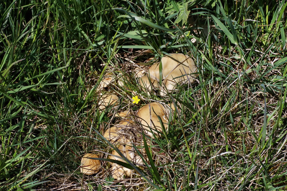 IMG-2016-04-21-00012699p_Bildgr��e �ndern