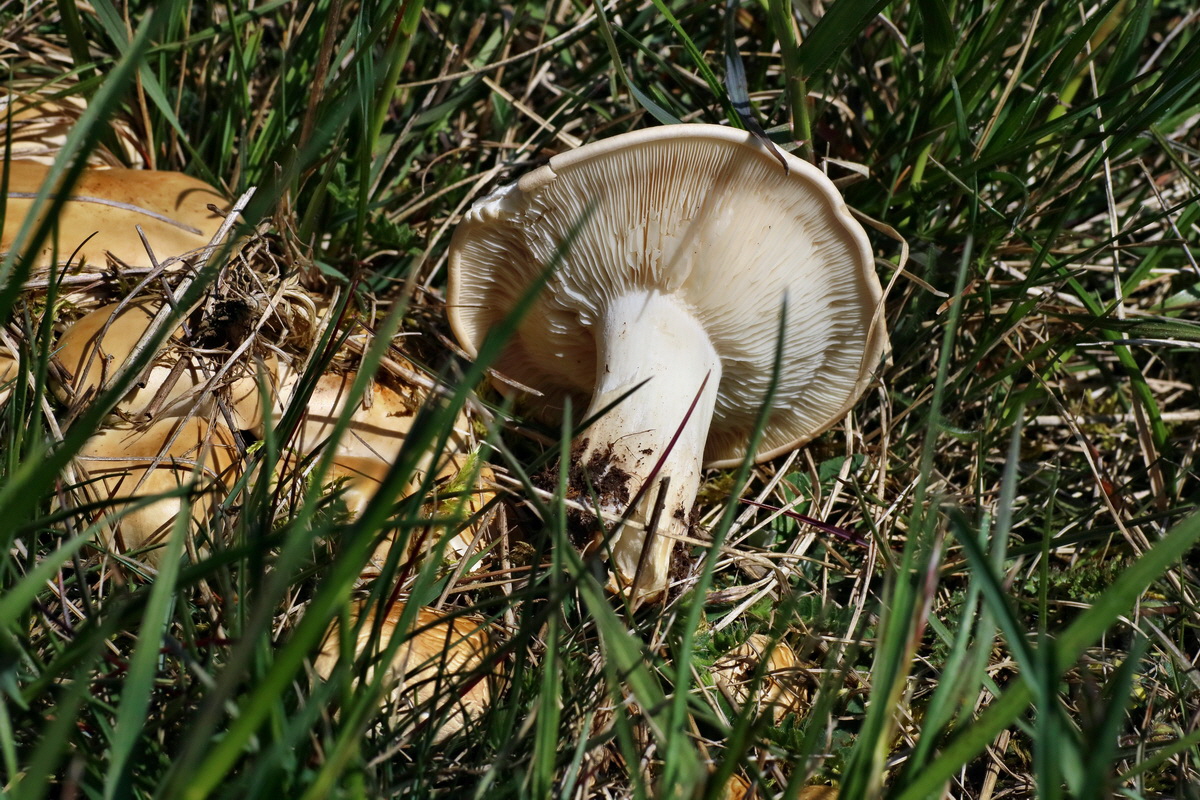 IMG-2016-04-21-00012701p_Bildgr��e �ndern