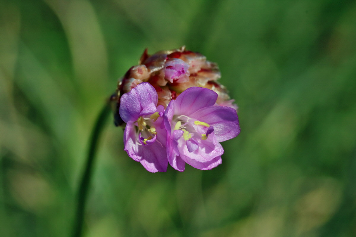 IMG-2016-04-21-00012712p_Bildgr��e �ndern