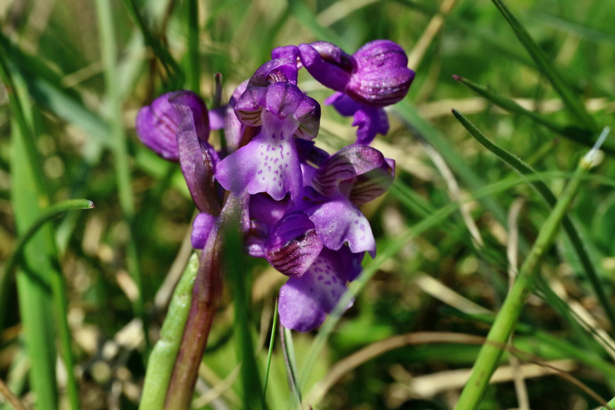 IMG-2016-04-21-00012715p_Bildgr��e �ndern