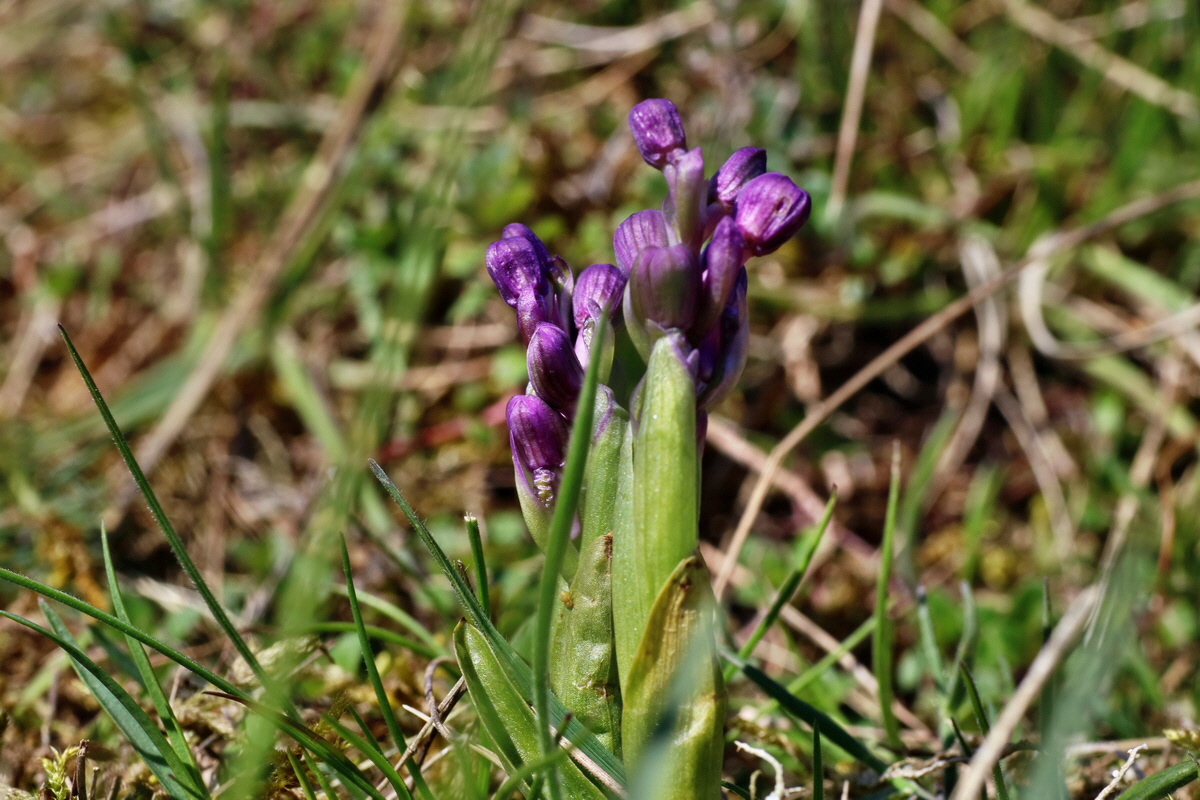 IMG-2016-04-21-00012717p_Bildgr��e �ndern