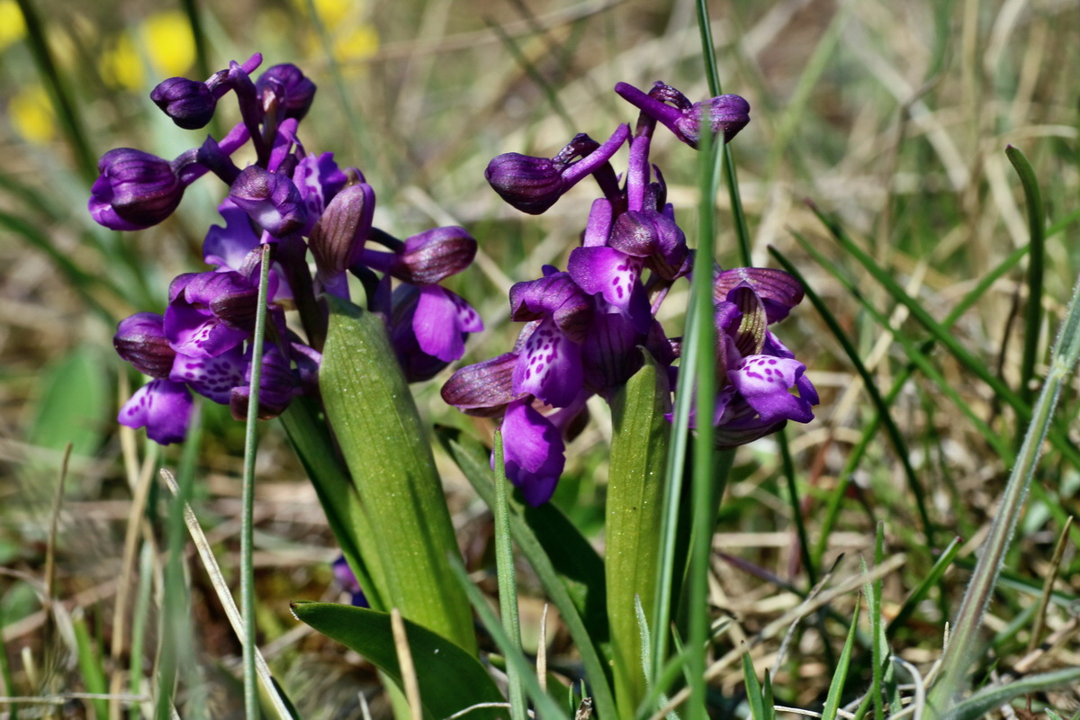 IMG-2016-04-21-00012720p_Bildgr��e �ndern