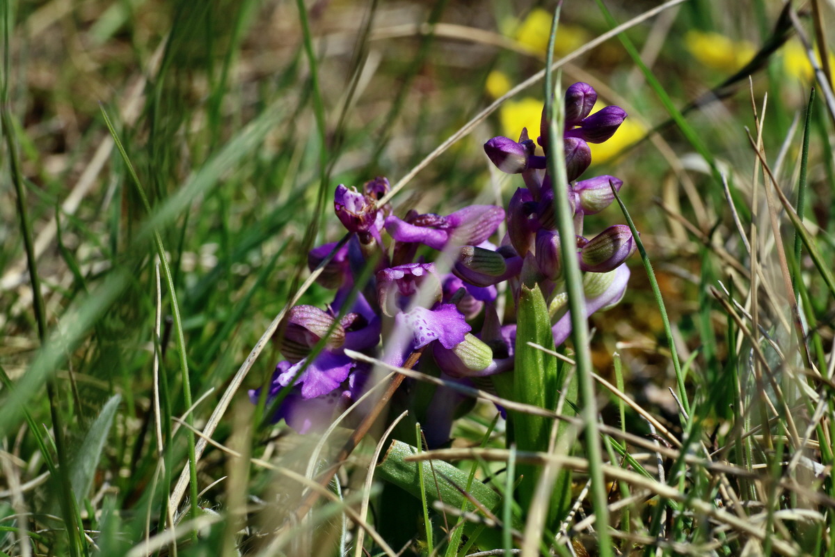 IMG-2016-04-21-00012722p_Bildgr��e �ndern