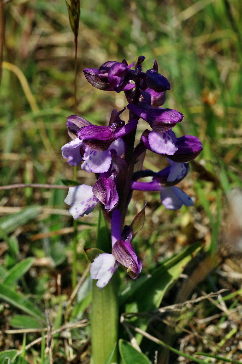 IMG-2016-04-21-00012729p_Bildgr��e �ndern