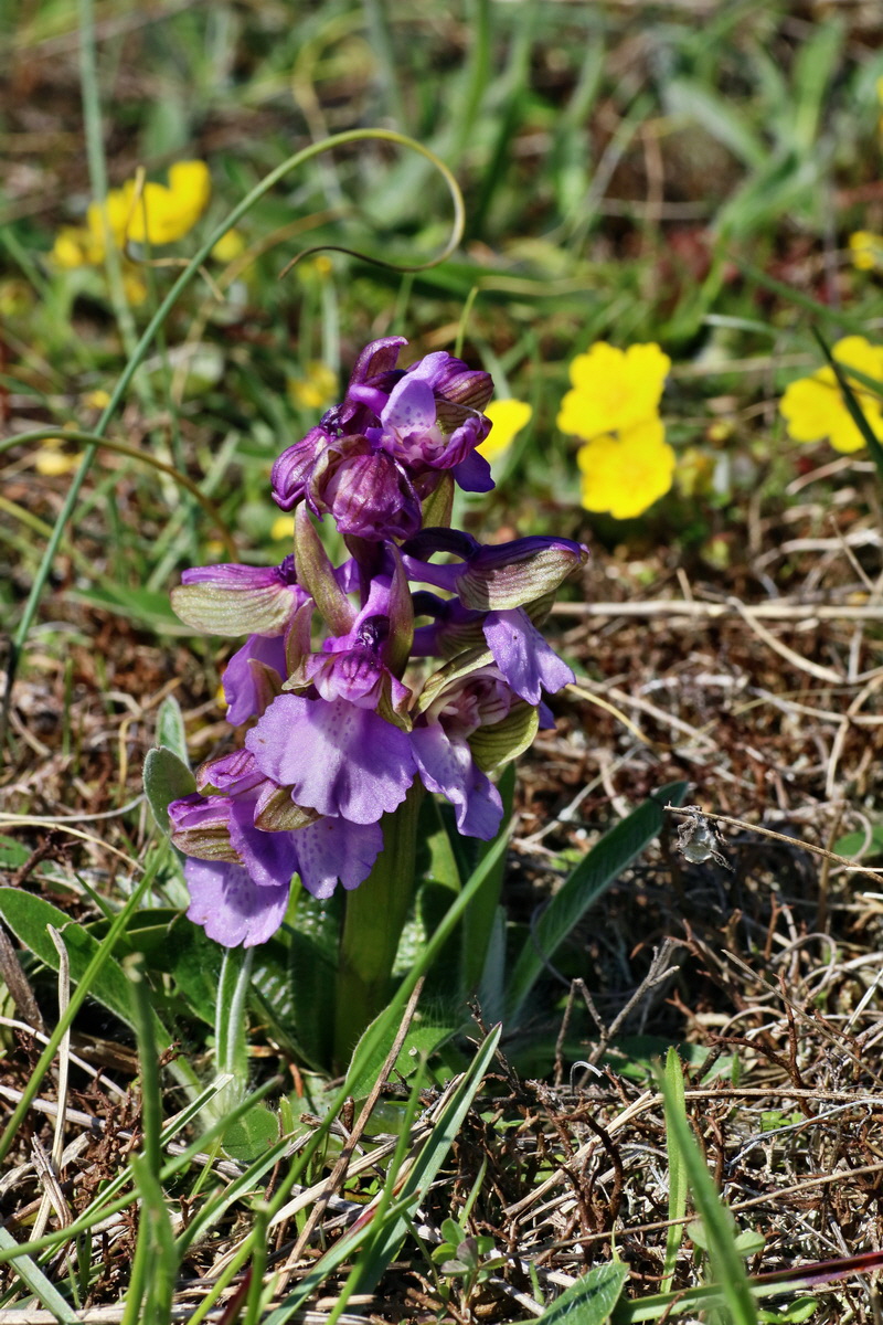 IMG-2016-04-21-00012735p_Bildgr��e �ndern