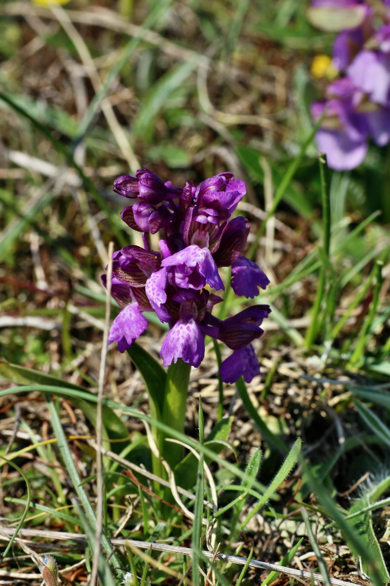 IMG-2016-04-21-00012741p_Bildgr��e �ndern