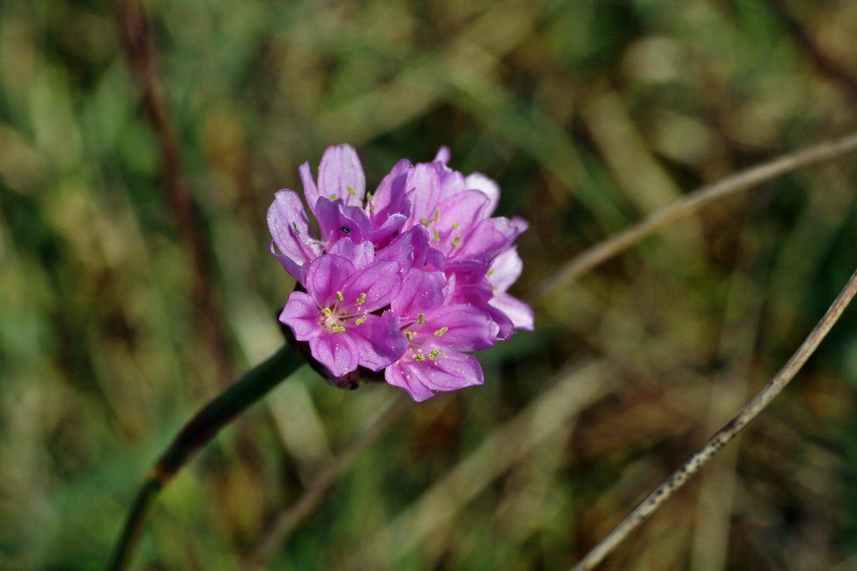 IMG-2016-04-21-00012743p_Bildgr��e �ndern