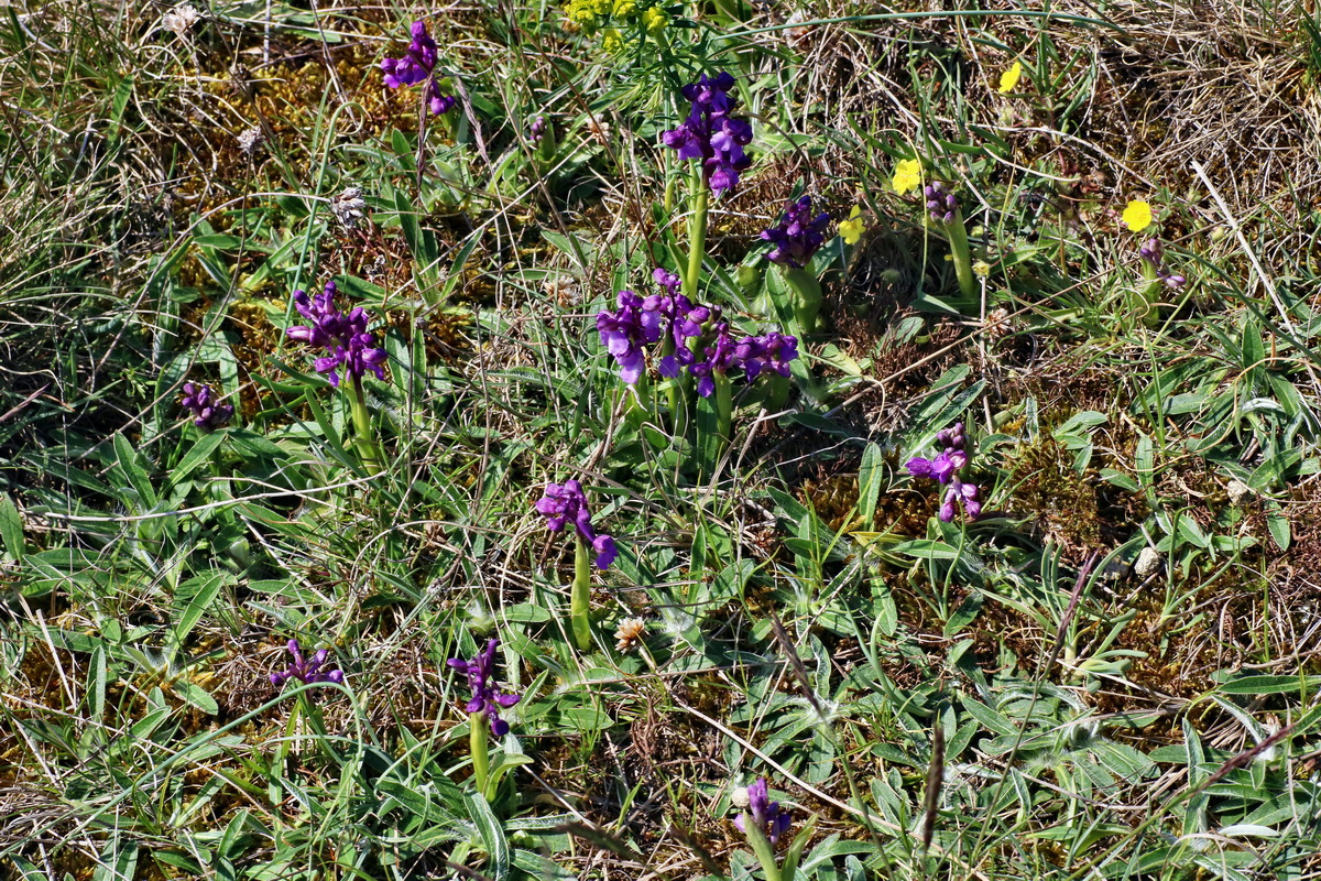 IMG-2016-04-21-00012747p_Bildgr��e �ndern