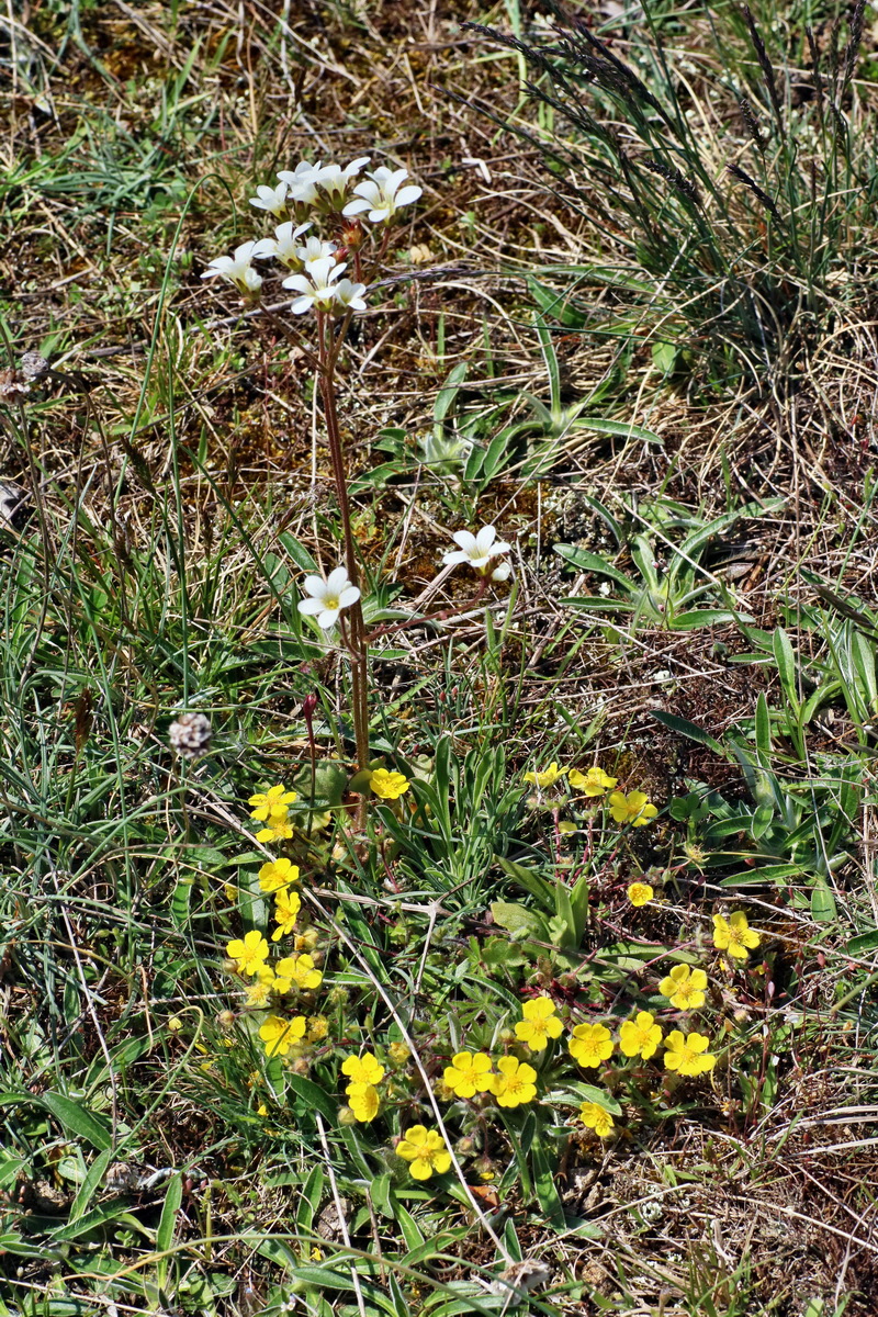 IMG-2016-04-21-00012749p_Bildgr��e �ndern