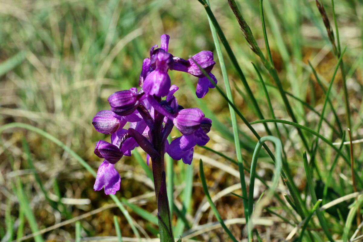 IMG-2016-04-21-00012754p_Bildgr��e �ndern