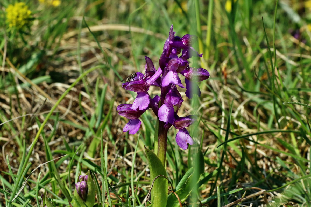 IMG-2016-04-21-00012774p_Bildgr��e �ndern