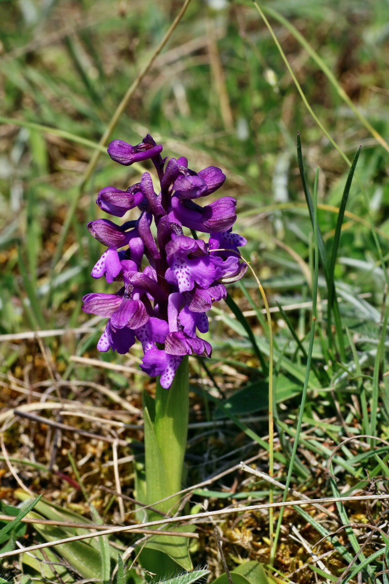 IMG-2016-04-21-00012782p_Bildgr��e �ndern