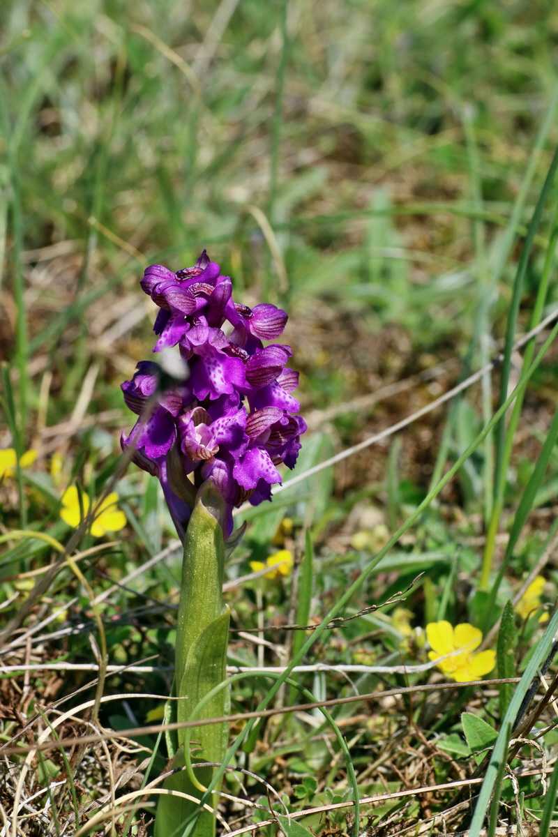 IMG-2016-04-21-00012786p_Bildgr��e �ndern