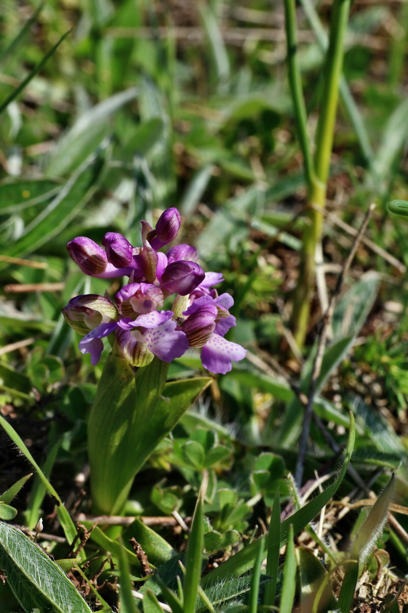 IMG-2016-04-21-00012787p_Bildgr��e �ndern