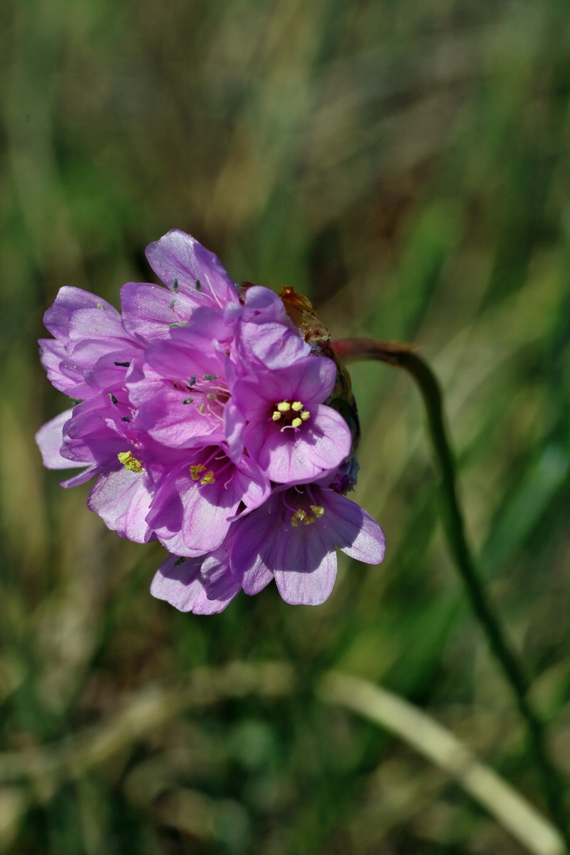 IMG-2016-04-21-00012789p_Bildgr��e �ndern