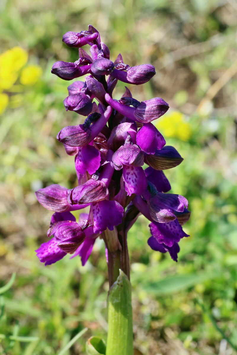 IMG-2016-04-21-00012796p_Bildgr��e �ndern