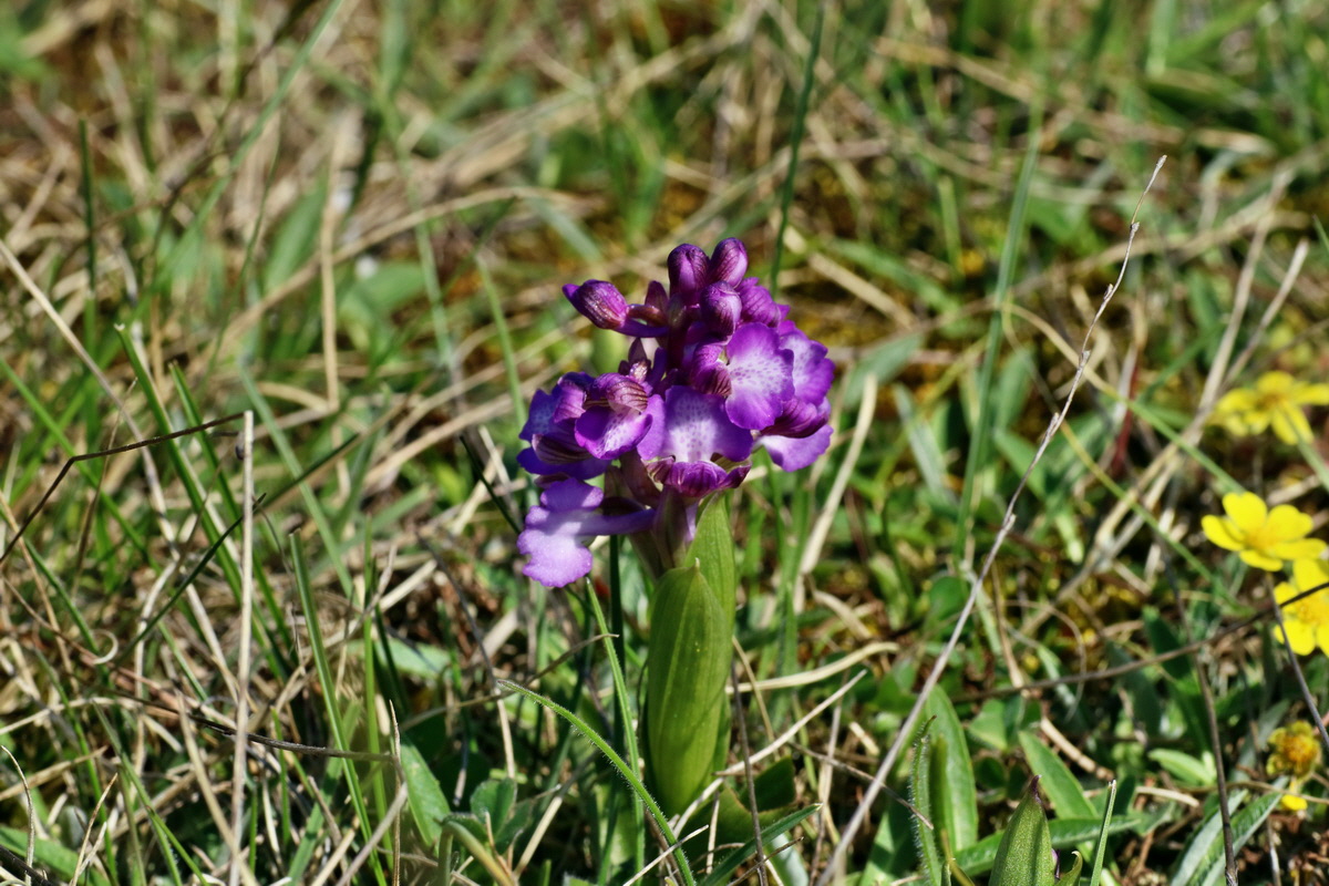 IMG-2016-04-21-00012800p_Bildgr��e �ndern