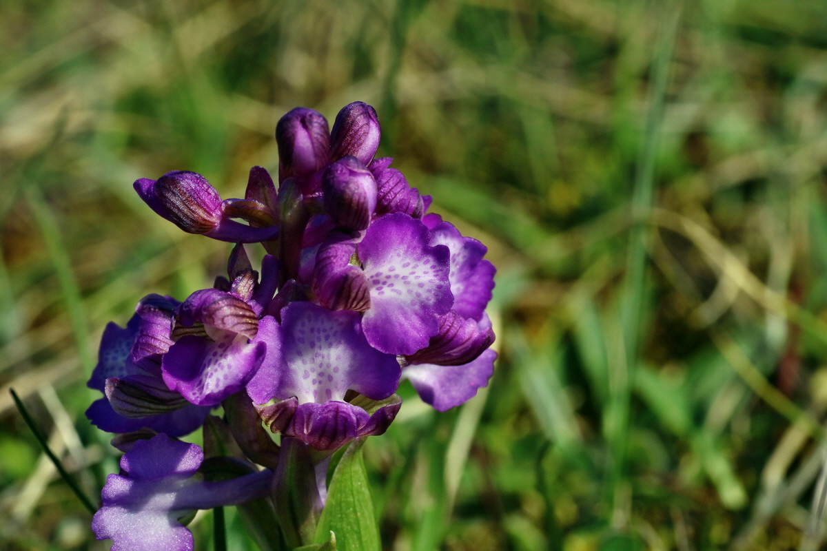 IMG-2016-04-21-00012801p_Bildgr��e �ndern