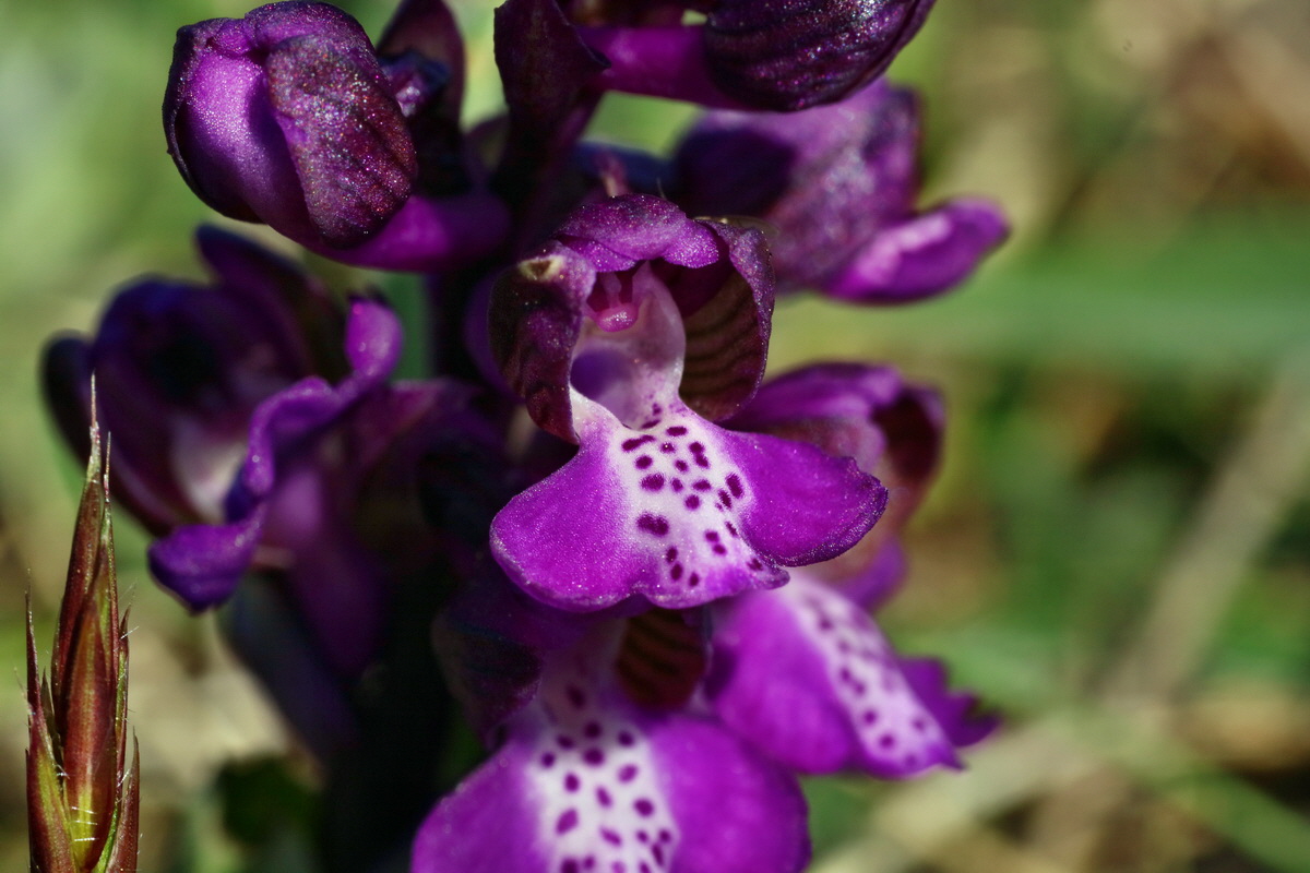 IMG-2016-04-21-00012816p_Bildgr��e �ndern