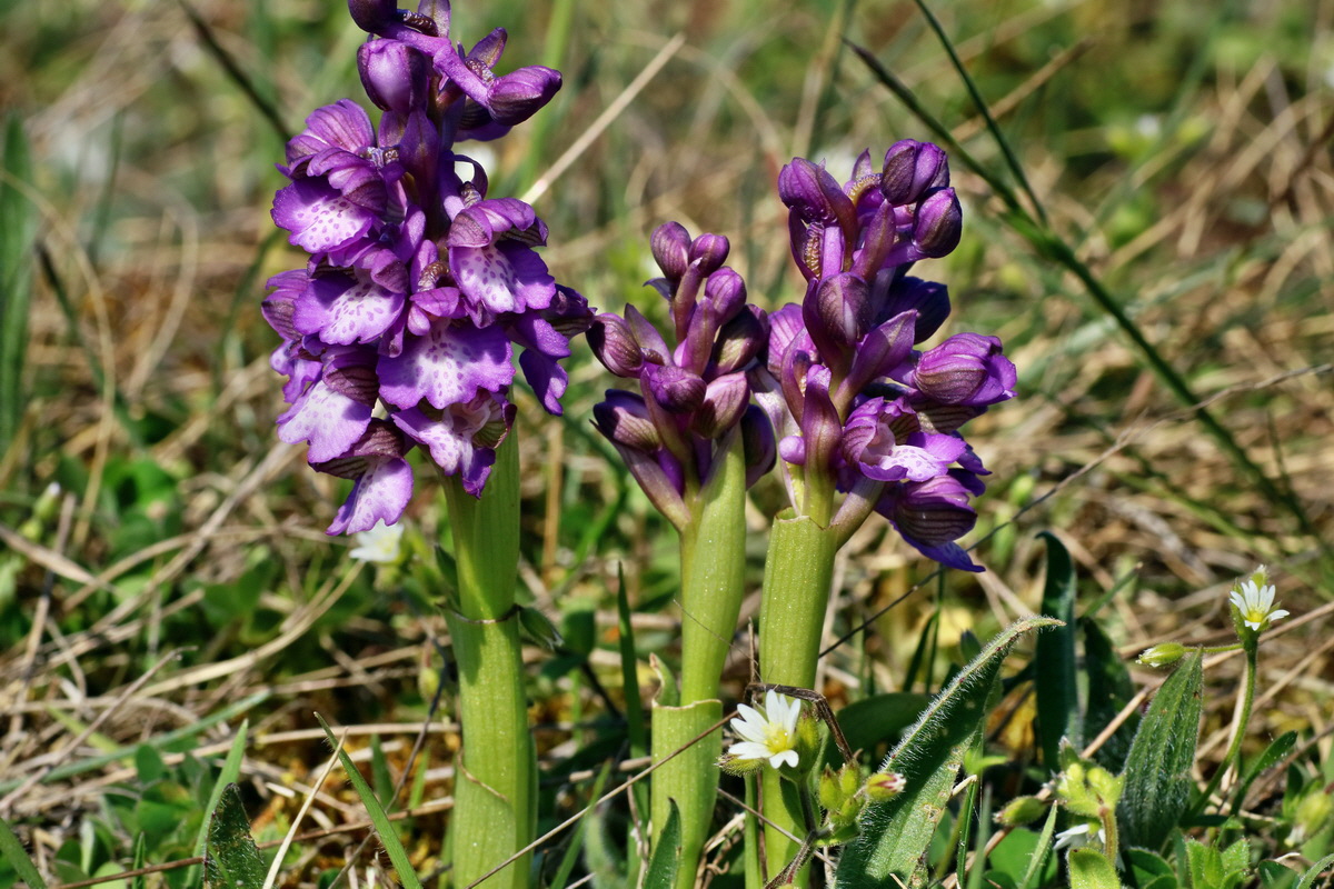 IMG-2016-04-21-00012821p_Bildgr��e �ndern