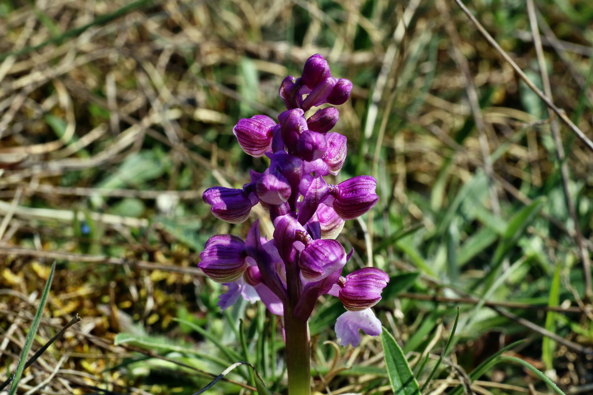 IMG-2016-04-21-00012825p_Bildgr��e �ndern