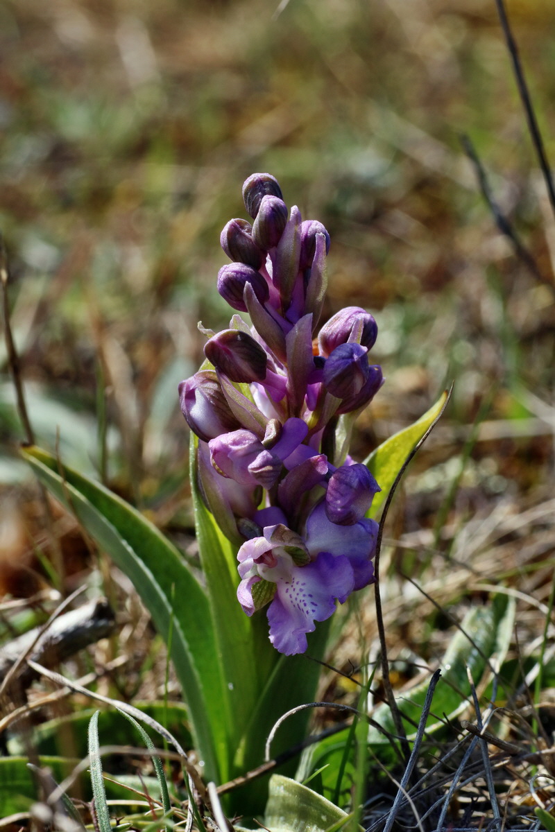 IMG-2016-04-21-00012827p_Bildgr��e �ndern