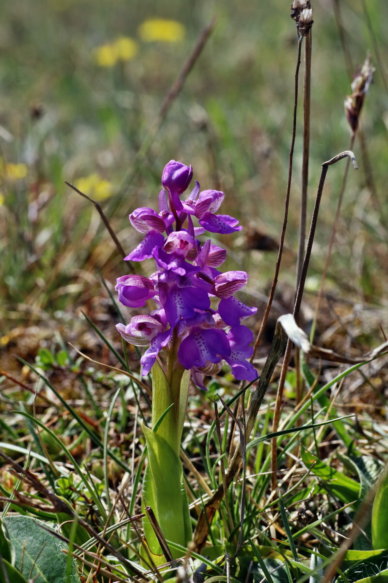 IMG-2016-04-21-00012829p_Bildgr��e �ndern