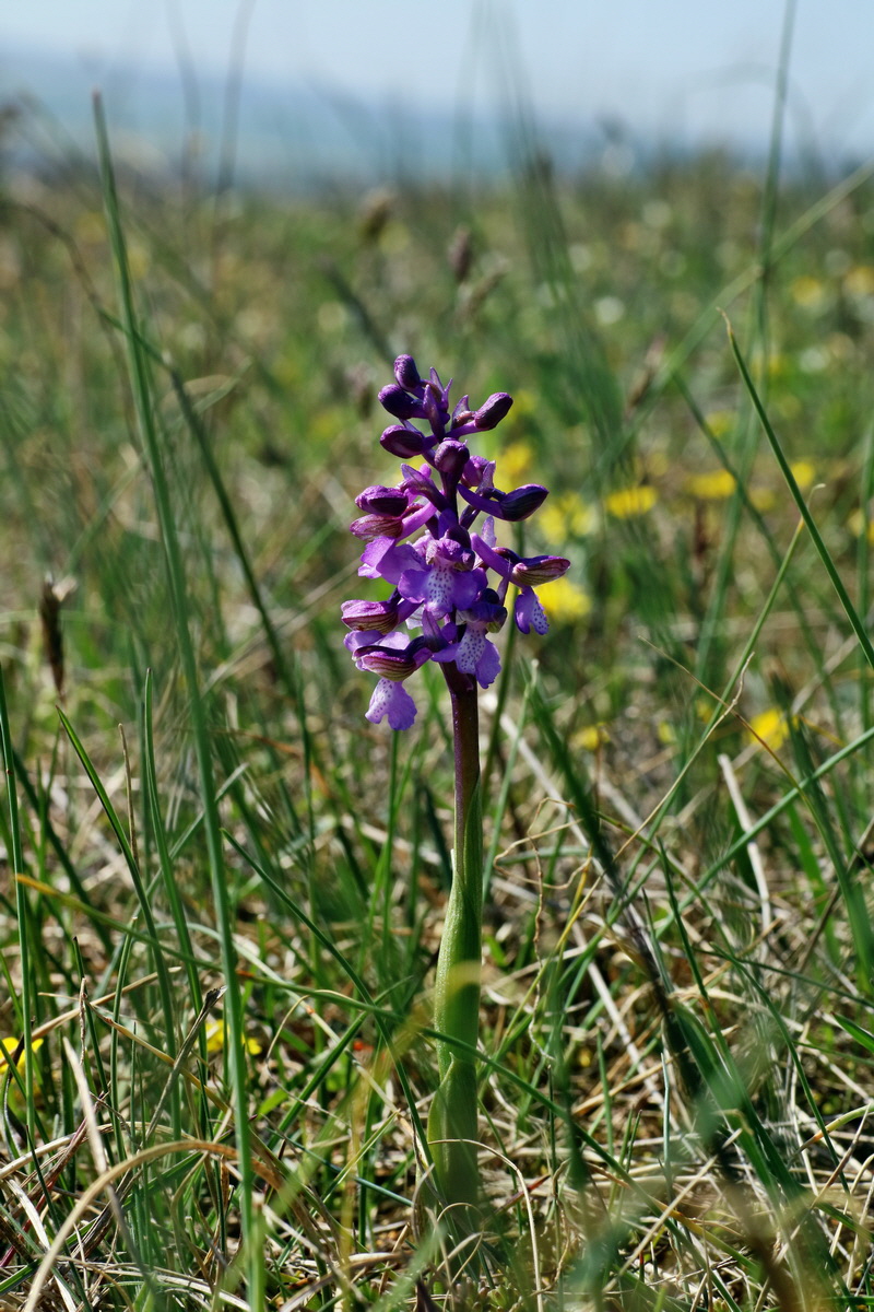 IMG-2016-04-21-00012833p_Bildgr��e �ndern