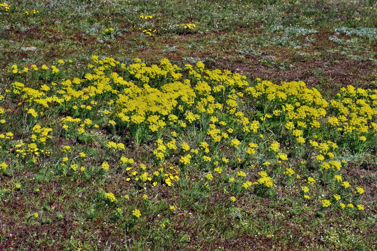 IMG-2016-04-21-00012839p_Bildgr��e �ndern