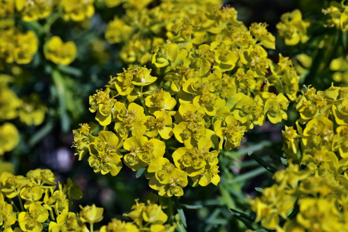 IMG-2016-04-21-00012843p_Bildgr��e �ndern