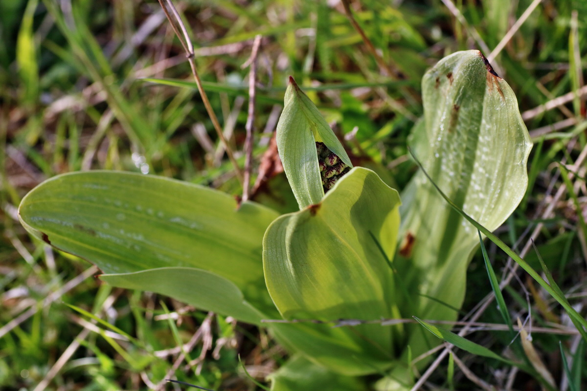 IMG-2016-04-29-00012938p_Bildgr��e �ndern