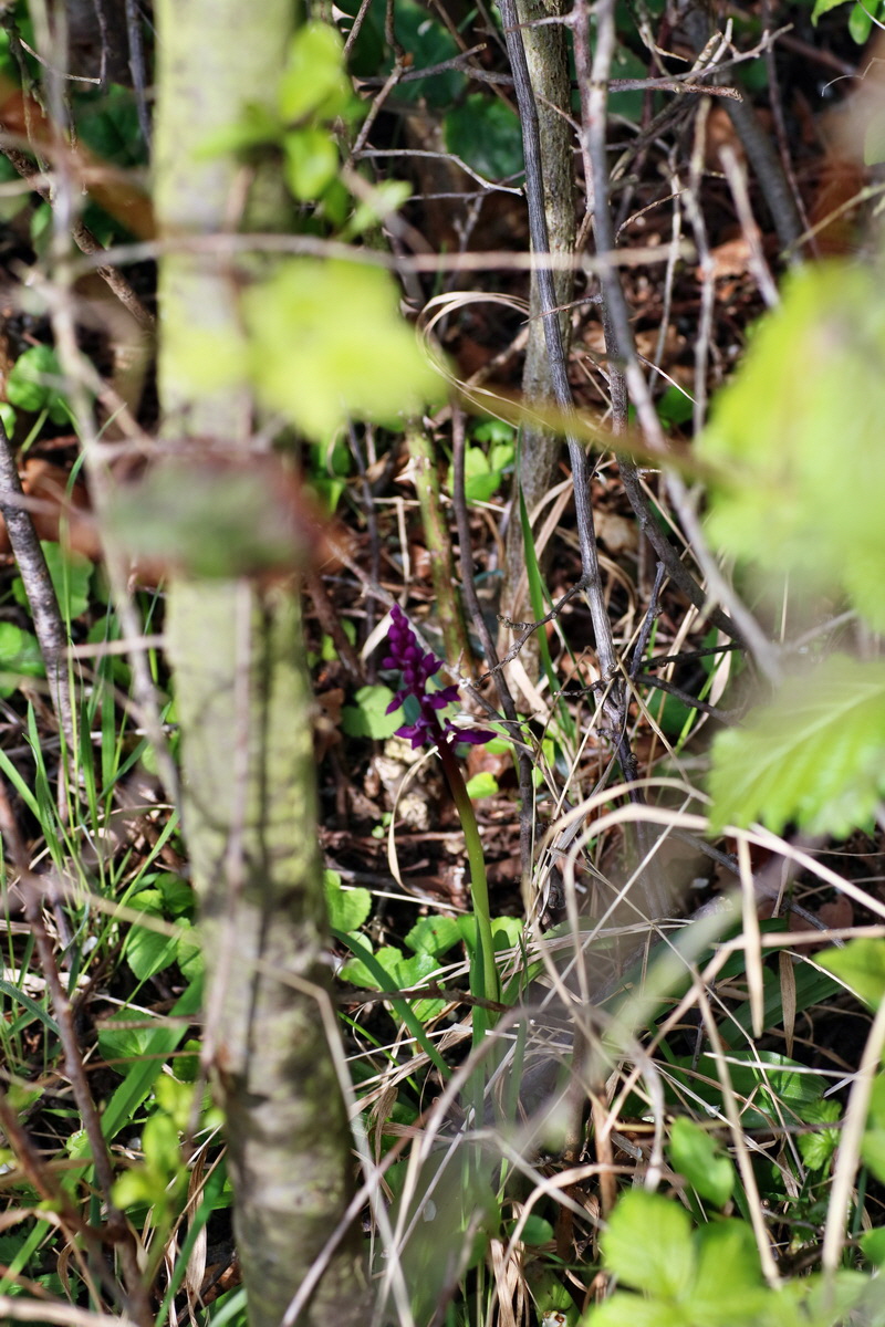 IMG-2016-04-29-00012942p_Bildgr��e �ndern