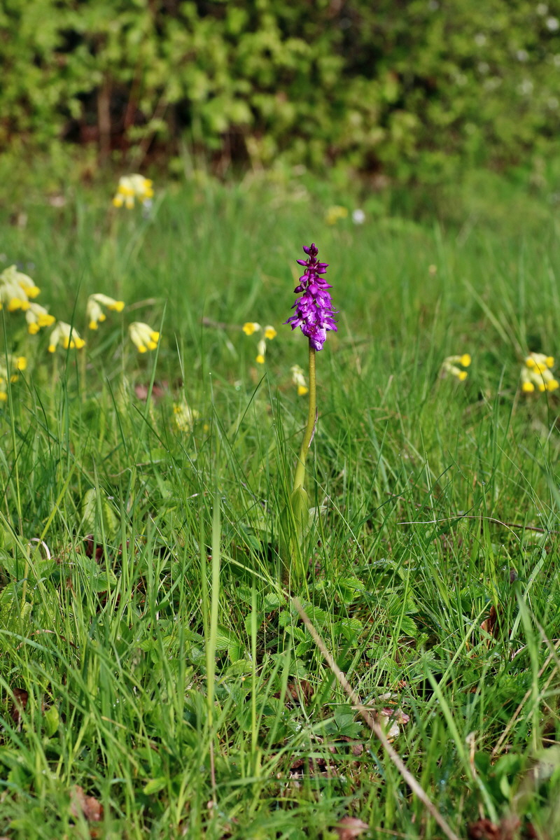 IMG-2016-04-29-00012948p_Bildgr��e �ndern