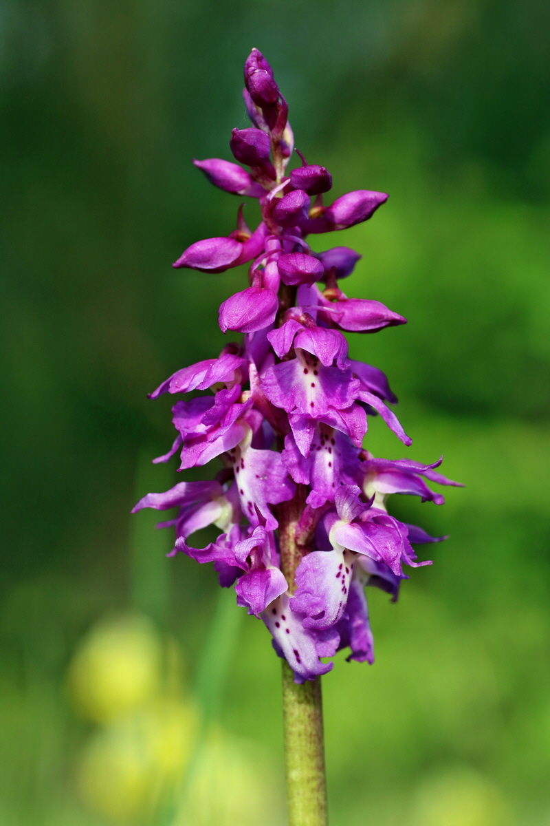 IMG-2016-04-29-00012953p_Bildgr��e �ndern