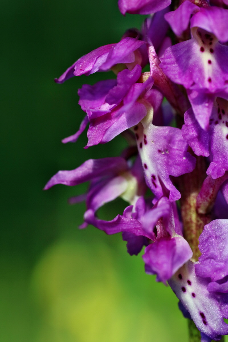 IMG-2016-04-29-00012956p_Bildgr��e �ndern